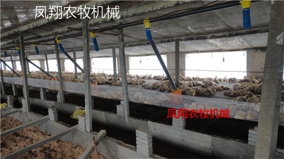 �B���������Ͼ�